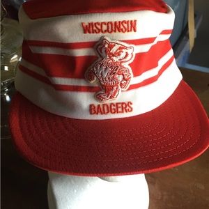 Vintage RARE Wisconsin Badgers Logo Snapback Hat Cap Nylon Striped Trucker
